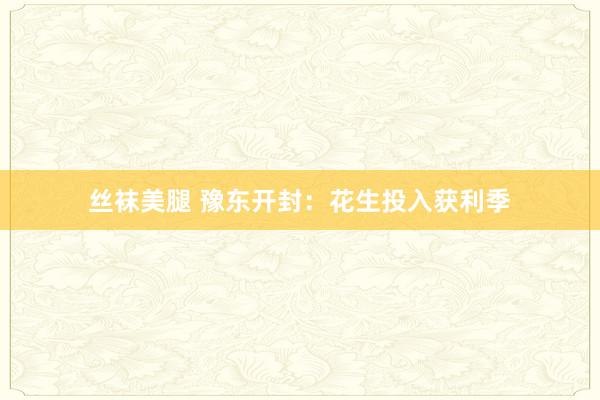 丝袜美腿 豫东开封：花生投入获利季
