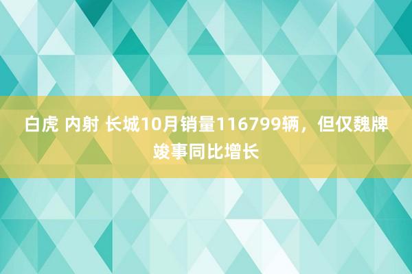 白虎 内射 长城10月销量116799辆，但仅魏牌竣事同比增长
