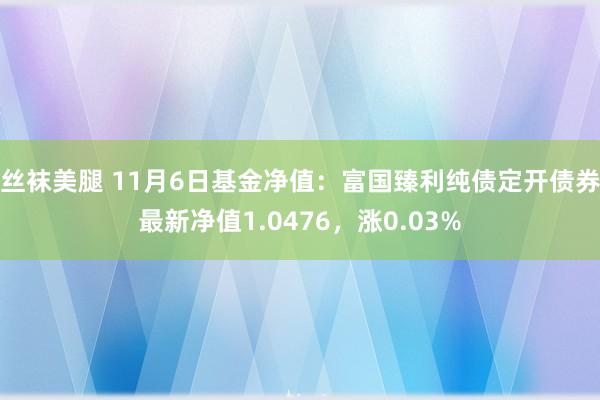 丝袜美腿 11月6日基金净值：富国臻利纯债定开债券最新净值1.0476，涨0.03%