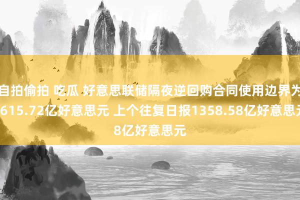 自拍偷拍 吃瓜 好意思联储隔夜逆回购合同使用边界为1615.72亿好意思元 上个往复日报1358.58亿好意思元