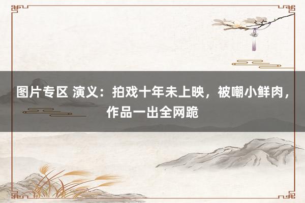 图片专区 演义：拍戏十年未上映，被嘲小鲜肉，作品一出全网跪