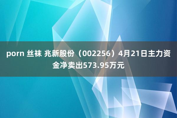 porn 丝袜 兆新股份（002256）4月21日主力资金净卖出573.95万元