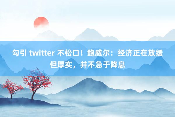 勾引 twitter 不松口！鲍威尔：经济正在放缓但厚实，并不急于降息